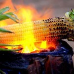 monsoonfood