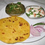 Manali2