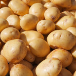 Potato-Yukon-gold1