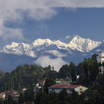 darjeelingcover