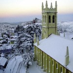 shimlacover