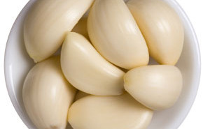 Garlic