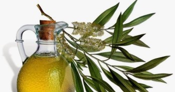 Tea Tree oil