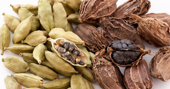 Cardamom