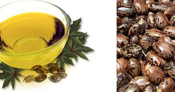 Castor-oil