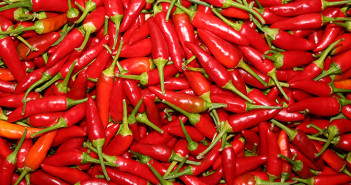 Chilli