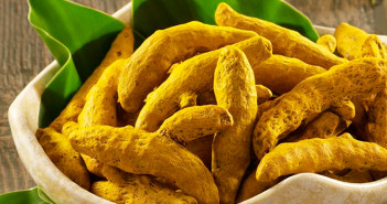 HALDI