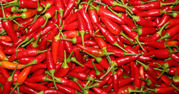 LAL-MIRCHI