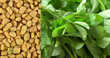 METHI