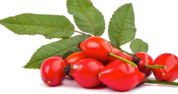 Rose-hip-oil