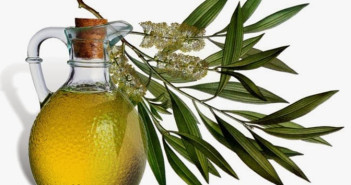 Tea-tree-oil