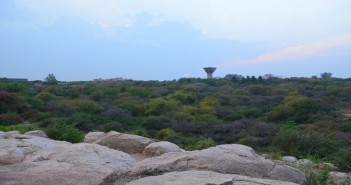 jnu