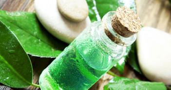 Add-tea-tree-oil-in-shampoo