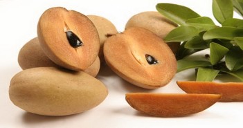 Naseberry