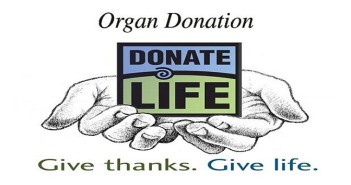 Organ donor
