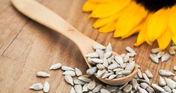Sunflower seeds