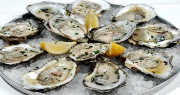 oysters
