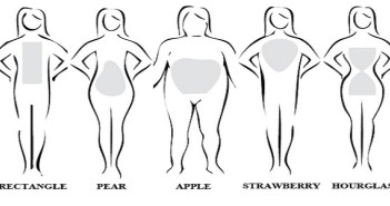 shapes