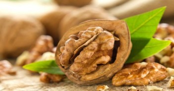 walnut
