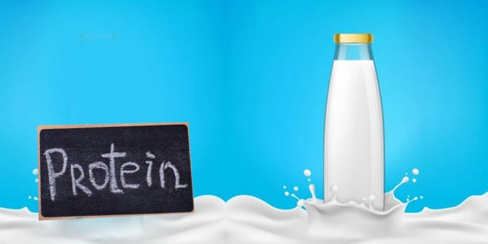 protein in skimmed milk 250ml protein in skimmed milk 250ml
