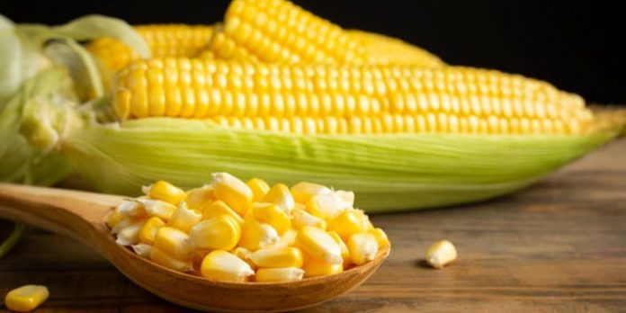 8 Carbohydrate Foods For Weight Loss